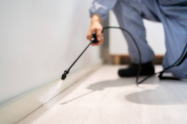 Licensed Termite Control service in St. Paul, MO - Nex Pest Control