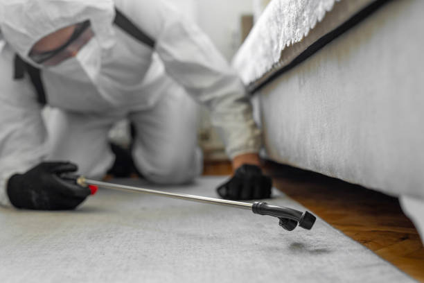 Professional Termite Control technician working in St. Paul, MO