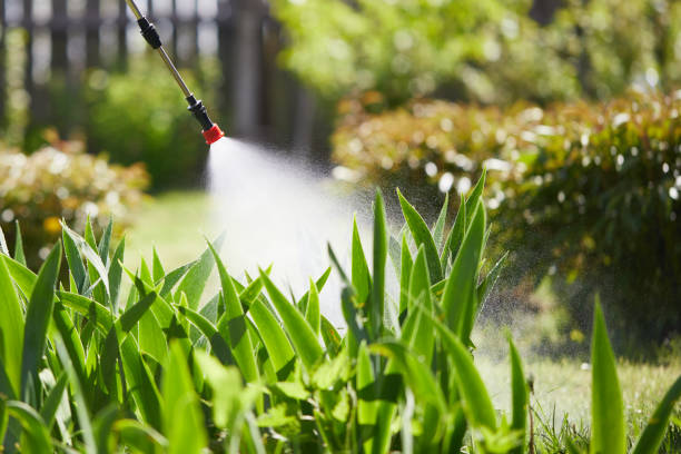 24/7 Emergency Termite Control experts in St. Paul, MO