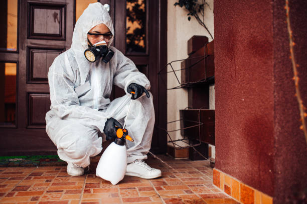 Reliable Termite Control contractor in St. Paul, MO by Nex Pest Control