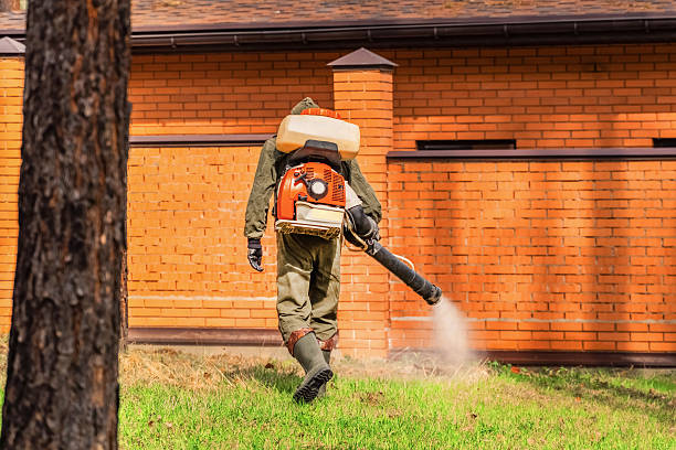 Top rated local Termite Control specialists in St. Paul, MO